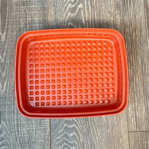 Tupperware Meat Marinade Storage Container - Paprika - Picture 10 of 14